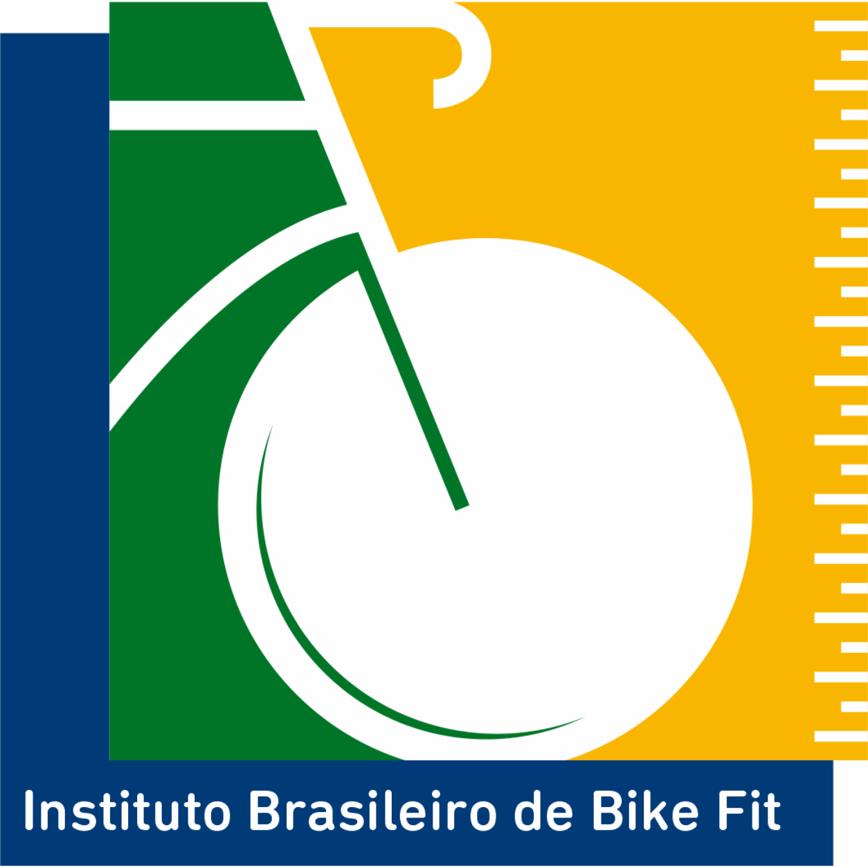 Instituto Brasileiro de Bike Fit